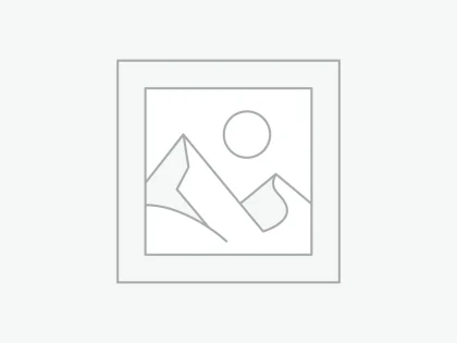 Cuidados Automotivos